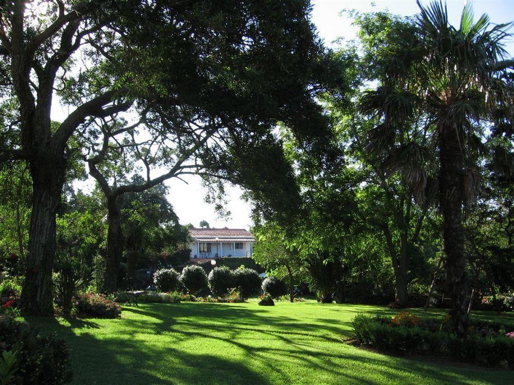 Quinta Das Acacias Guest Houses Hotel Ponta Delgada (Madeira)