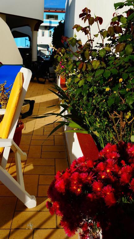 Aparthotel E Quartos Atalaia *