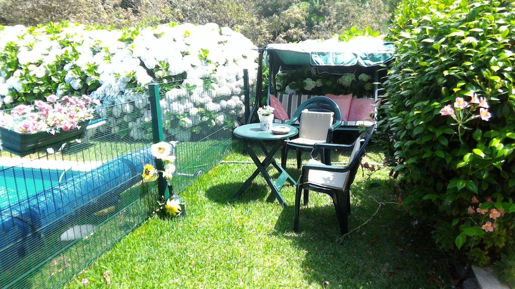 Casa De Trajinha Bed & Breakfast Afife