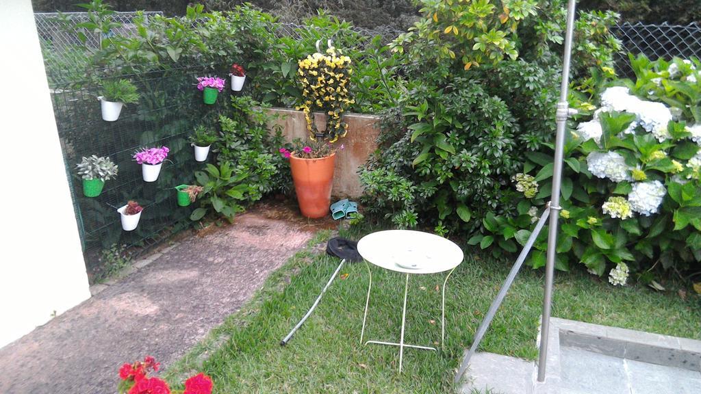 Casa De Trajinha Bed & Breakfast