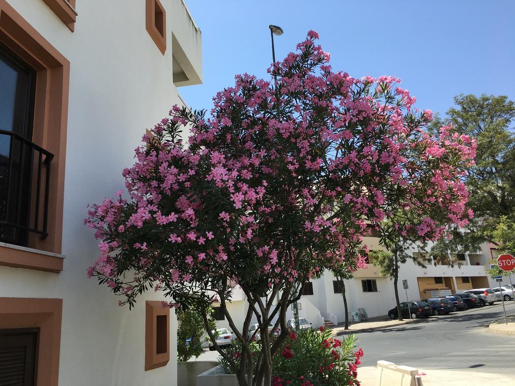 Apartamento Lovely Beach Bellavista