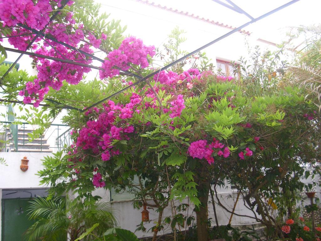 Guest house Residencial Carvalho *
