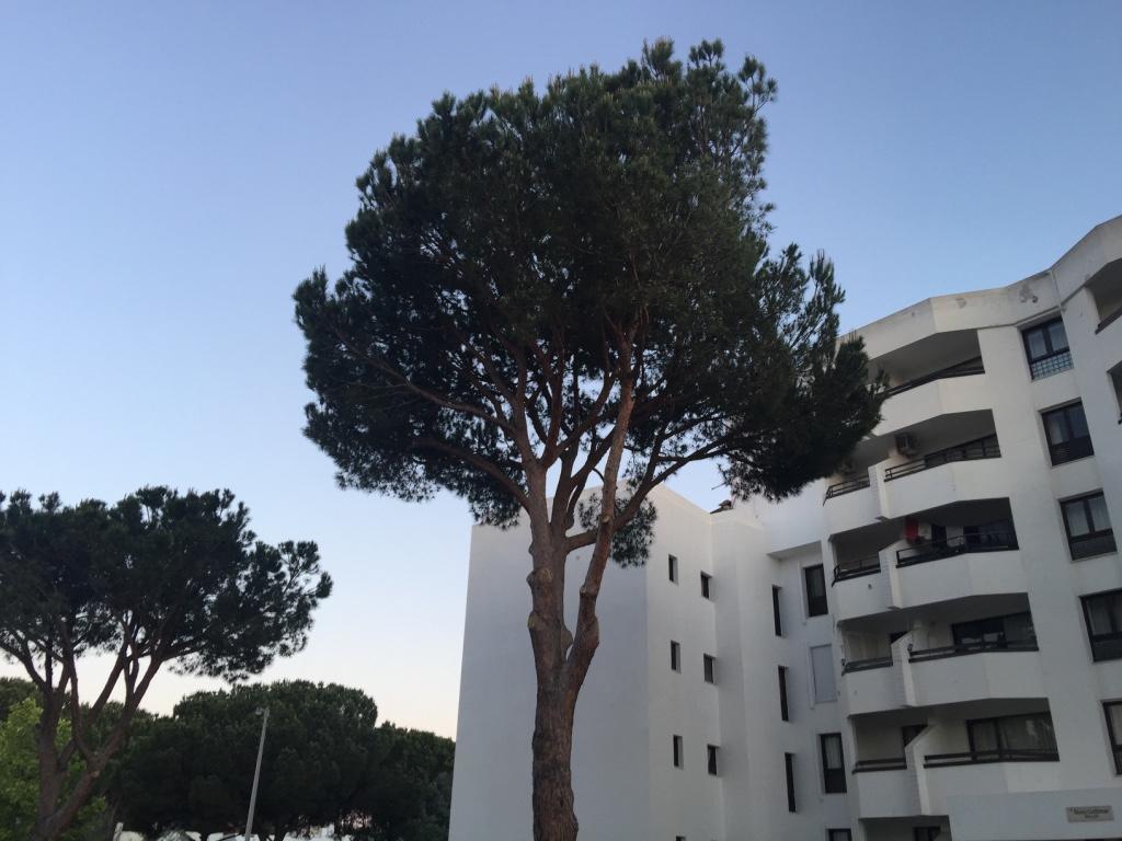 Appartement Golf & Mar - T2 Vilamoura