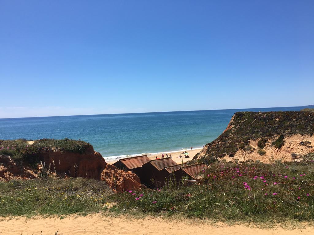 Apartment Falesia Albufeira