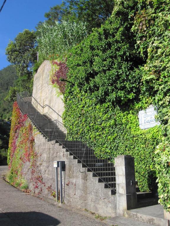 Quinta Da Capela Guest house 4*
