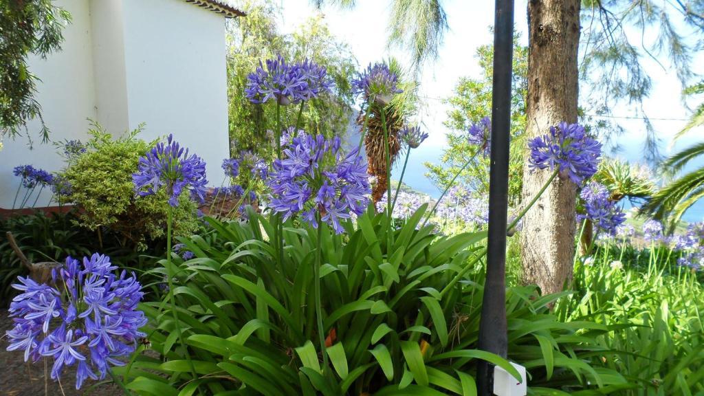 Quinta Da Capela Guest house Porto Da Cruz