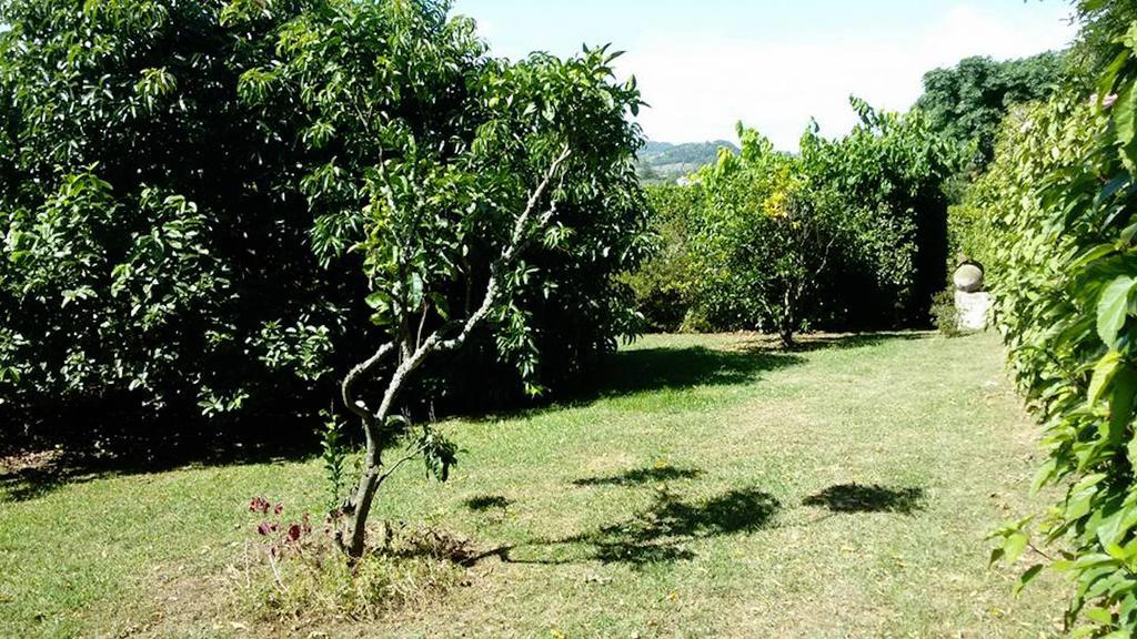 Quinta Bolas *