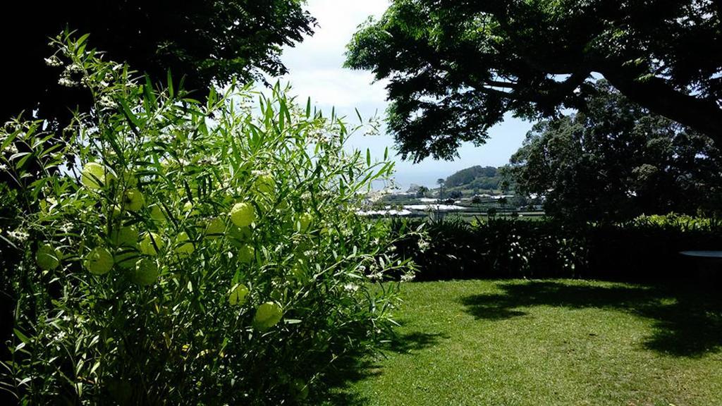 Quinta Bolas Ponta Delgada (Sao Miguel)
