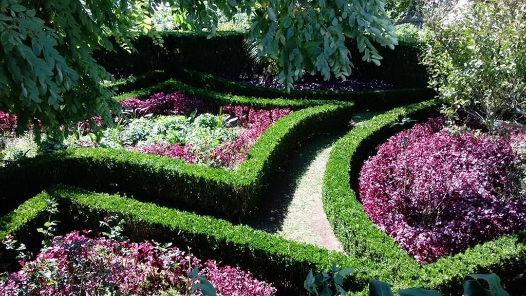 Quinta Bolas * Ponta Delgada (Sao Miguel)