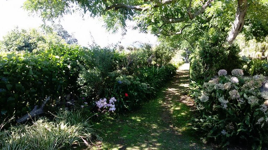 Quinta Bolas Holiday home *