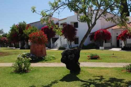 Pedras Del Rei Casa de férias