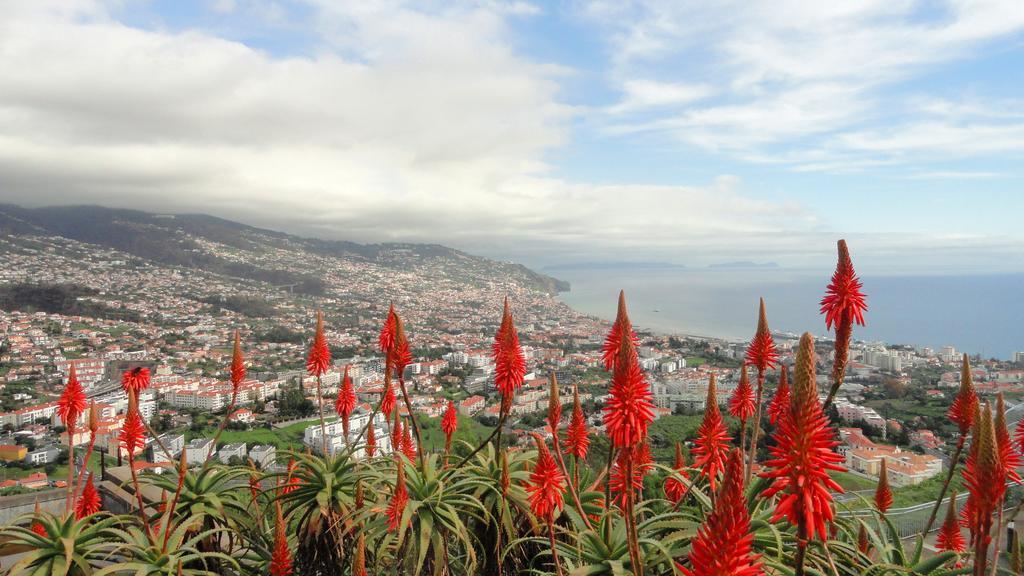 Apartment Palma Madeira Wandern Und Tauchen *