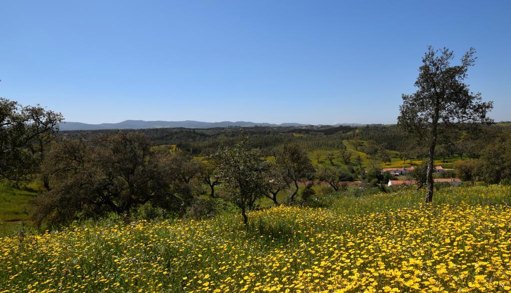 Sernadinha Holiday home Aldeia do Cano