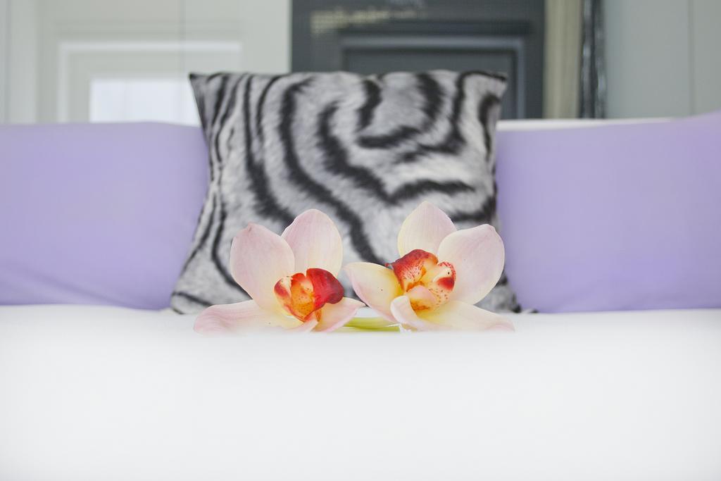Hotel Absoluto Design