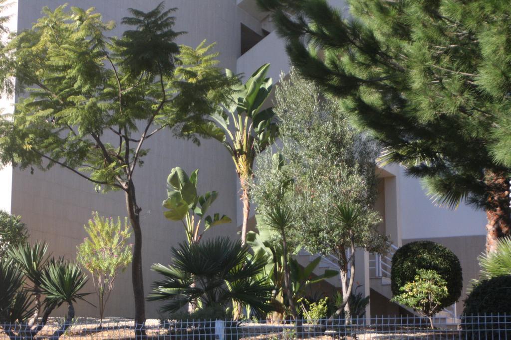 Apartamento Lovely New W/ Pool