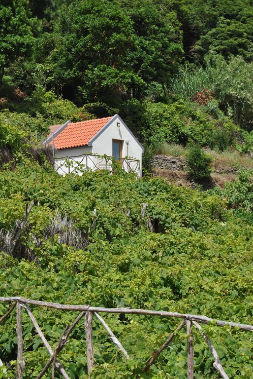 A Casa Estrelicia-dourada Garces Sao Vicente (Madeira)