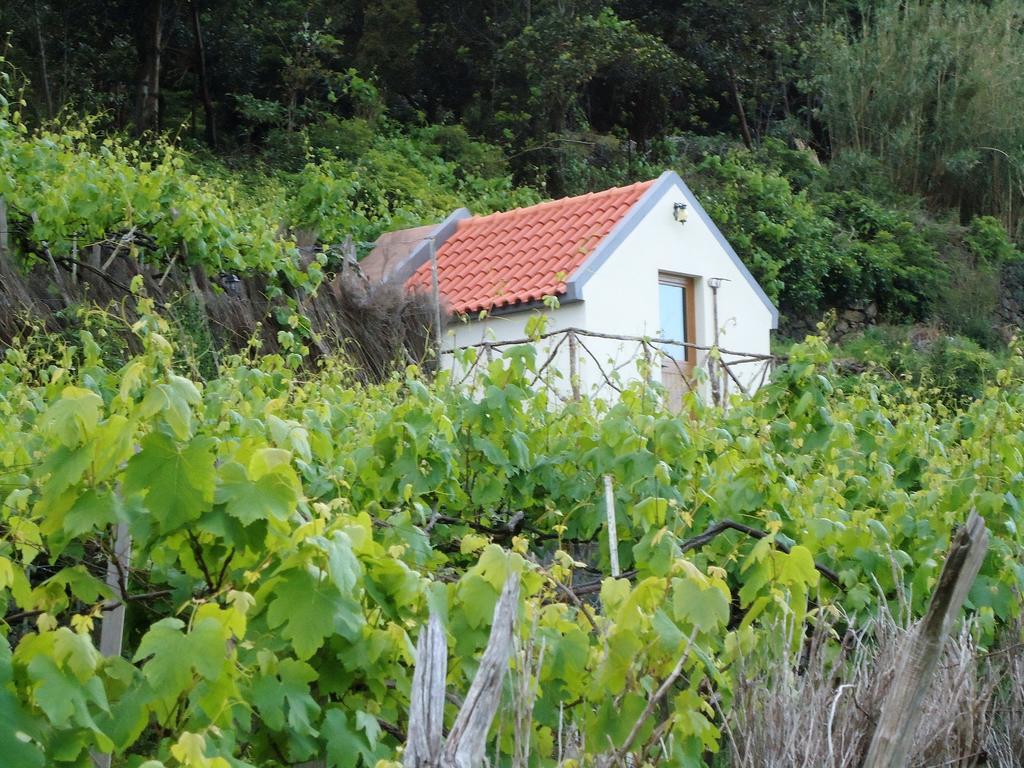 A Casa Estrelicia-dourada Garces Farm stay