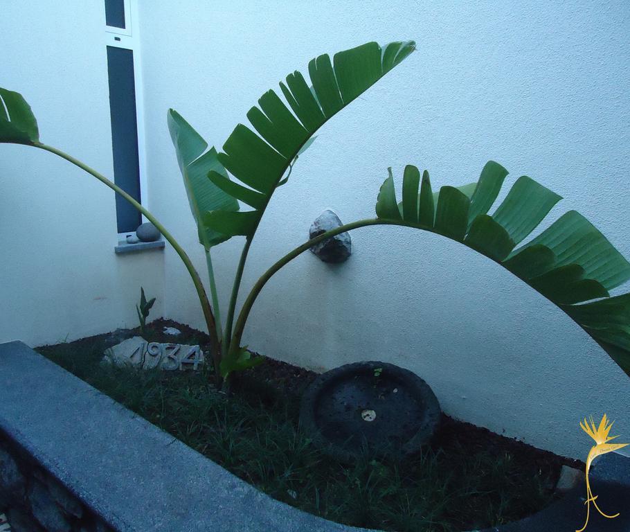 Farm stay A Casa Estrelicia-dourada Garces Sao Vicente (Madeira)