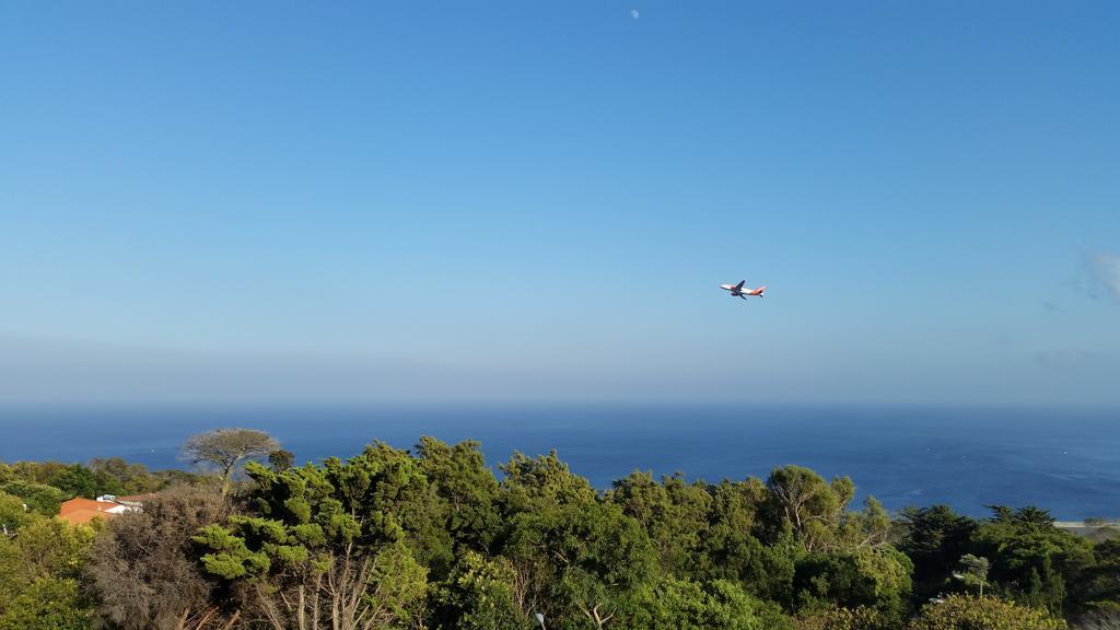 Gois Machico (Madeira)