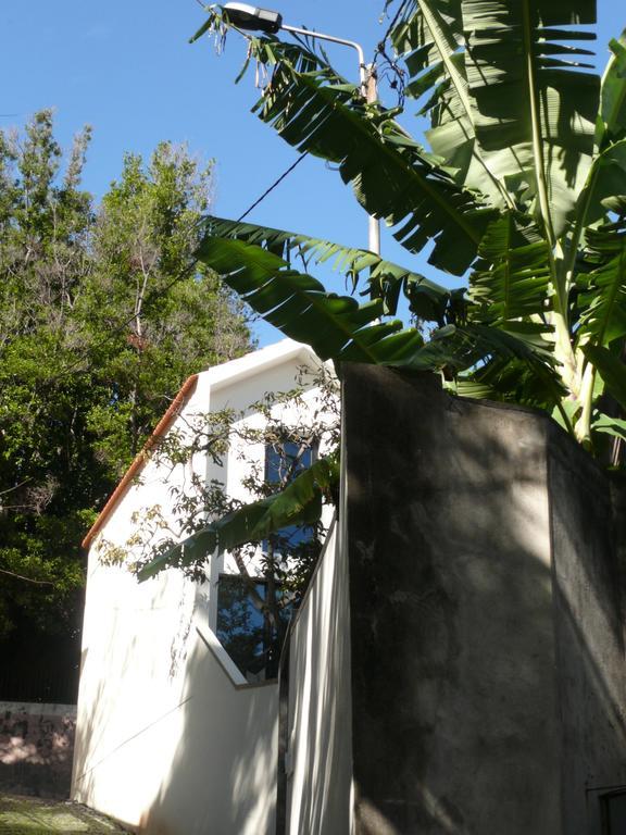 Apartamento Casinha de Prazeres