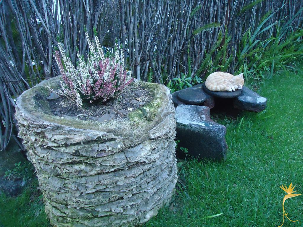 Farm stay A Casa Estrelicia-dourada Garces *