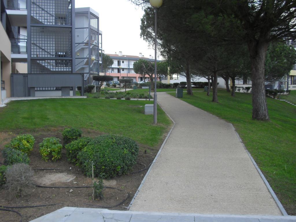 Belleview Apartment