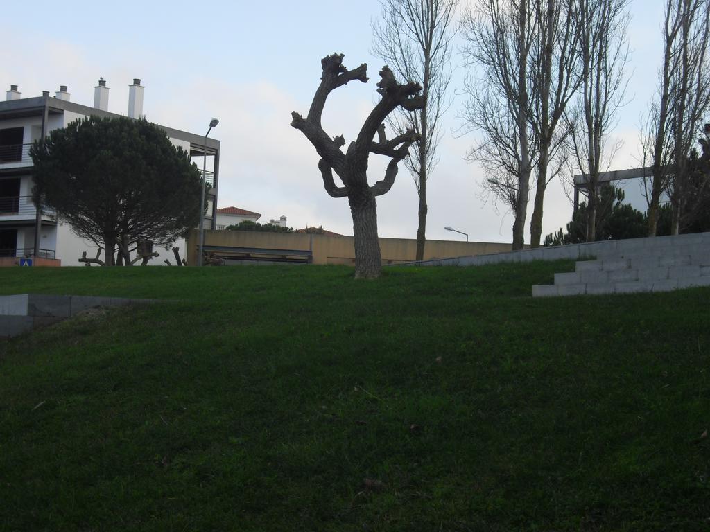 Apartment Belleview *