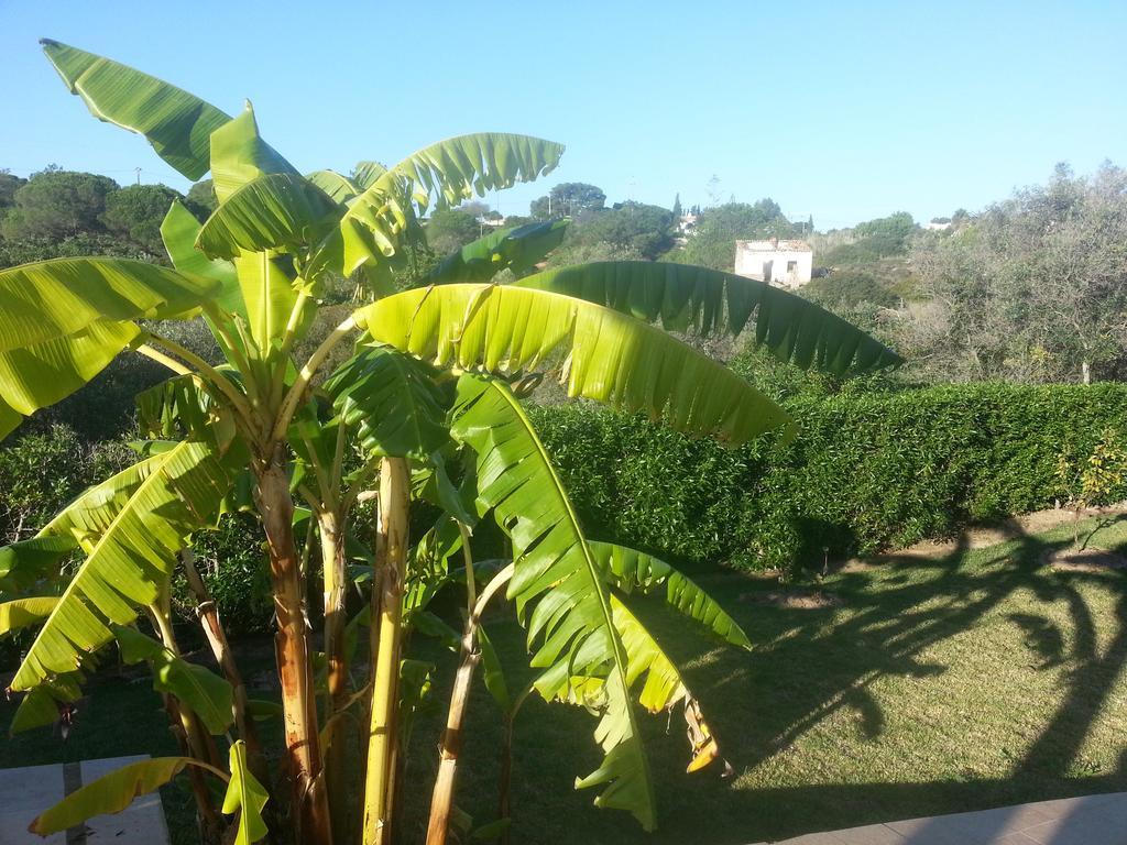 Bed and breakfast Casa Cereja 'adults Only' *