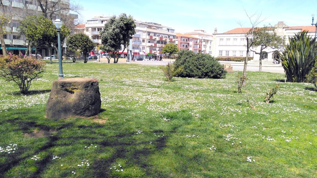 Porto Terrace Apartamento Espinho (Aveiro)