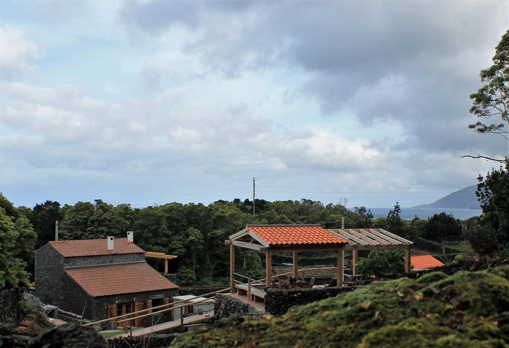 Vinea Lava Praia Campo Pico *