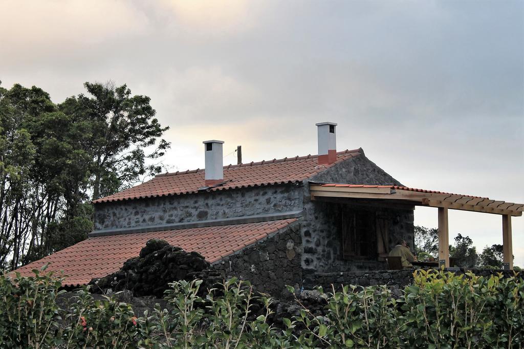 Casa de hóspedes Vinea Lava Praia Campo Pico