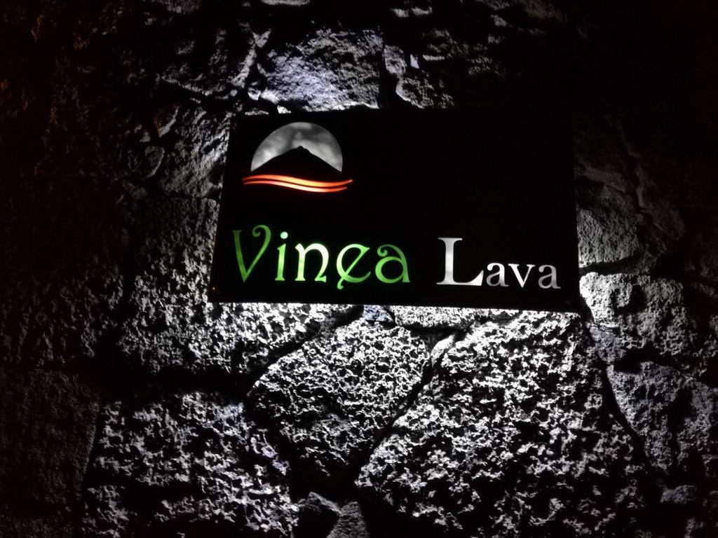 Vinea Lava Praia Campo Pico *