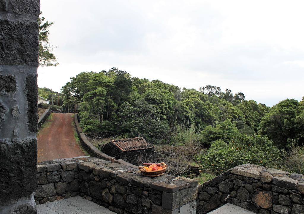Casa de hóspedes Vinea Lava Praia Campo Pico *