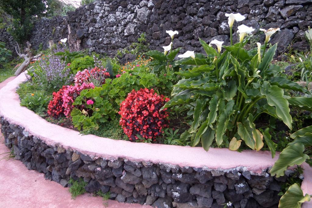 Quinta Dos Sentidos , Rustic Holiday Houses In Sao Vicente Ferreira * Sao Vicente Ferreira