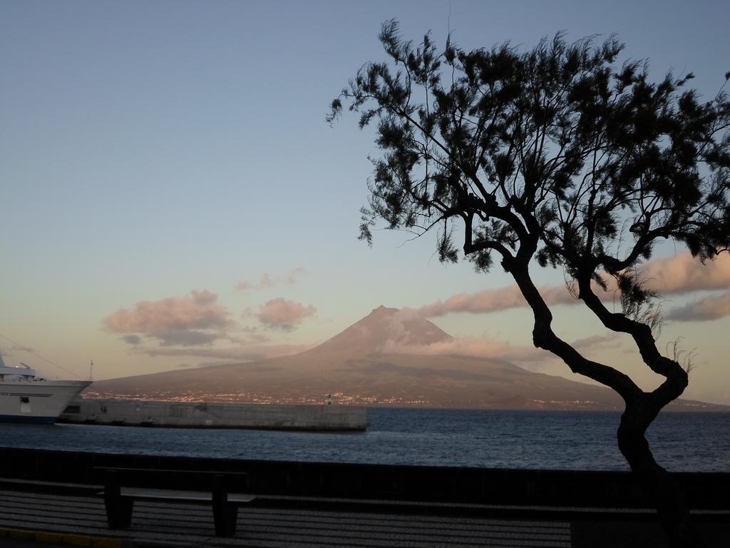 Residencia Machado Guest house Horta (Azores)