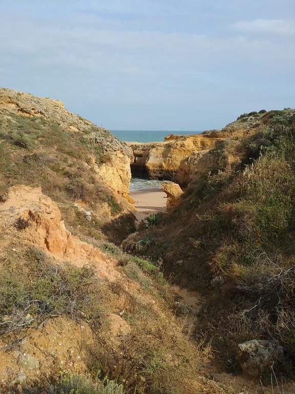 Casa Cereja 'adults Only' Bed and breakfast