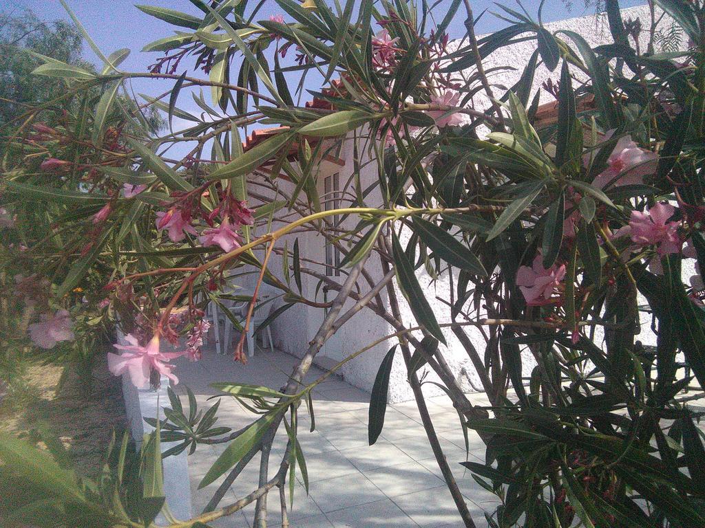 Vakantiehuis Nature