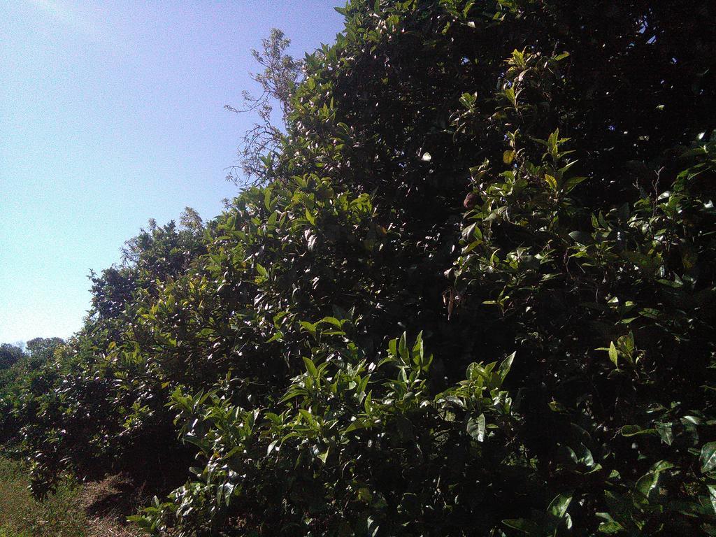 Nature Vakantiehuis *