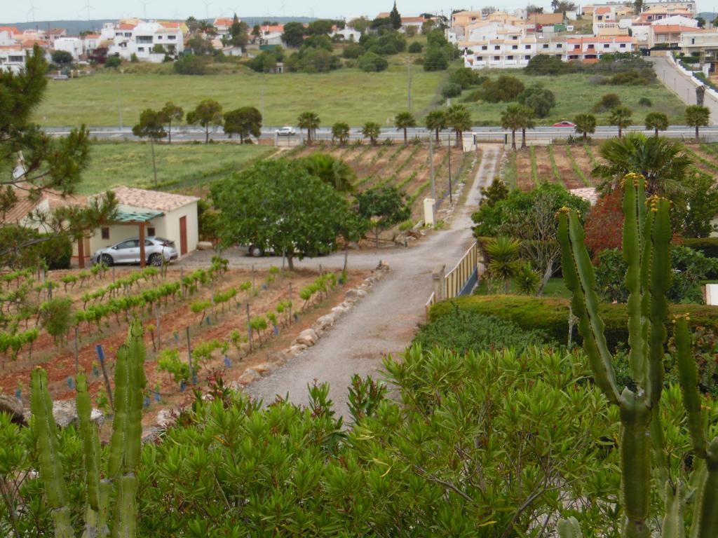 Horta Nova *