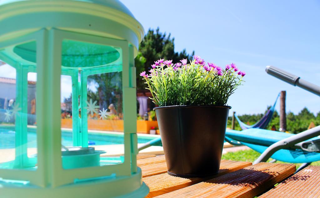 Maria Do Mar Surf Guest house *