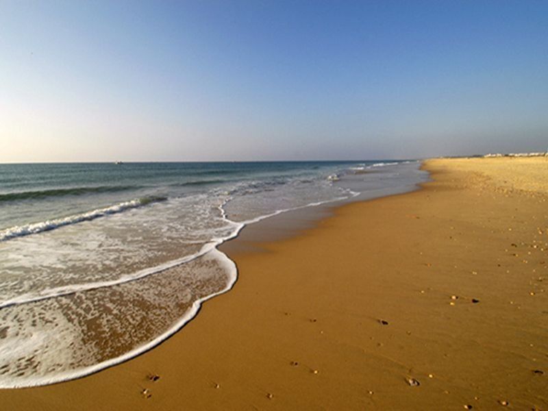 Ozadi Tavira