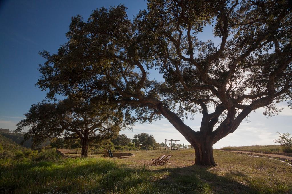 Herdade Do Amarelo Nature & Farm stay *