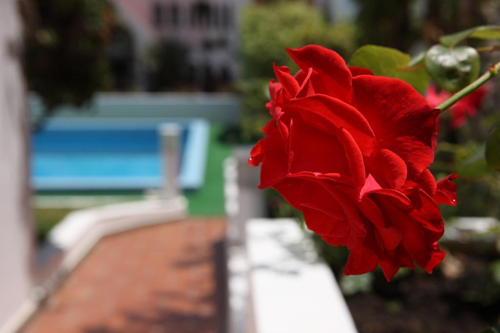 Bay 4* Canico (Madeira)
