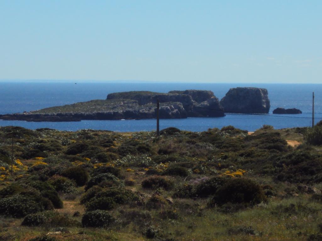Casa Grilo Guest house Sagres