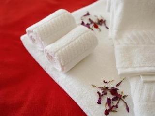Vicentina Hotel 4*