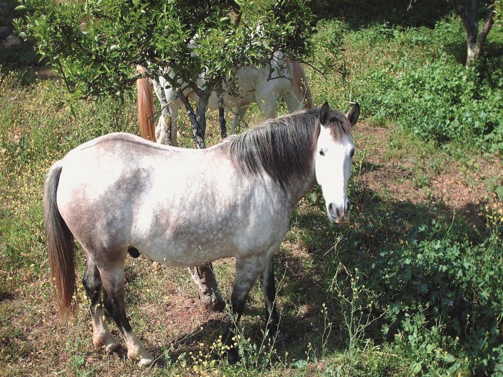 Rural Quinta Das Barradas