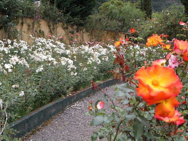 Pestana Quinta Do Arco Nature & Rose Garden