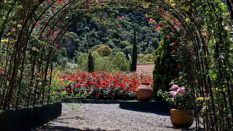 Holiday park Pestana Quinta Do Arco Nature & Rose Garden