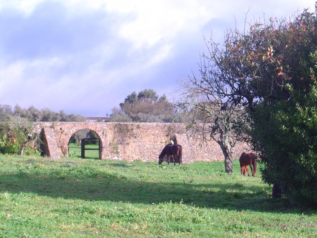 Quinta Do Scoto 4* Sintra