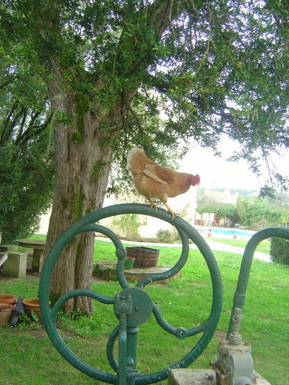 Quinta Do Scoto Acomodação com café da manhã  Sintra